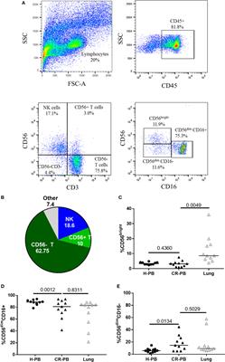Human CD49a+ Lung Natural Killer Cell Cytotoxicity in Response to Influenza A Virus